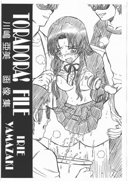 Download TORADORA! FILE Kawashima Ami Gazoushuu