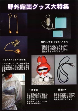 Page 14 of Exhibitionism Training 2