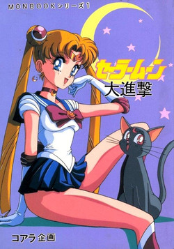 Download Sailor Moon Monbook Series 1