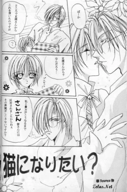 Page 4 of Royal Cute 1