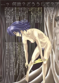 Page 14 of Mahou Shoujo Ai EROglassiaR25