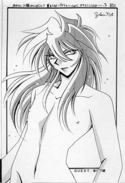 Page 3 of Sennen Gangu Tôzoku