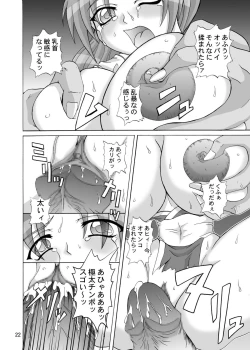 Page 21 of Insanity 2