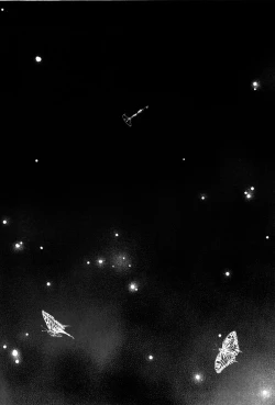 Page 81 of Simulacre no Alice