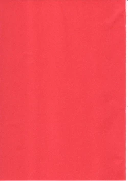 Page 39 of side:NINA - Ryuu no Me no Fuukei ~ second