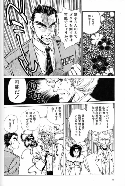 Page 21 of Onna Darake no Okinawa Summit