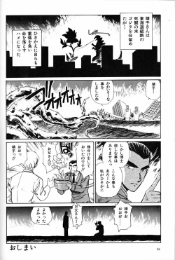 Page 25 of Onna Darake no Okinawa Summit