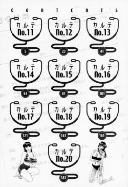 Page 8 of Hitomi no Karte 2