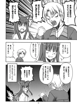 Page 15 of Ookami to Mimi to Shippo