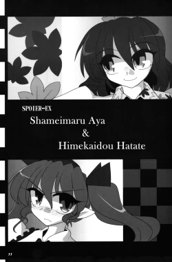 Page 12 of TOHO N+ 18/81