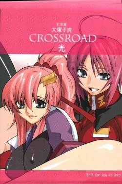 Page 1 of crossroad Hikari
