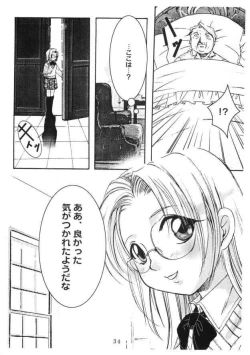 Page 33 of Kopigura