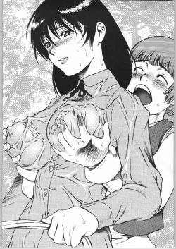 Page 29 of Raiun Sashie Shuu