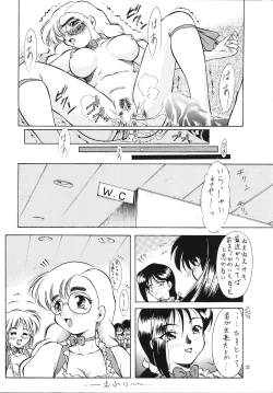 Page 23 of Miyabi