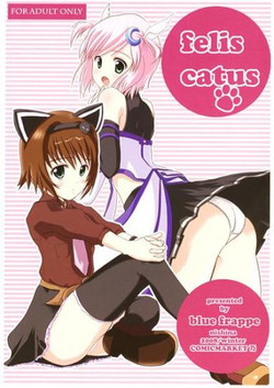Download Felis Catus