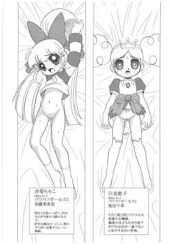 Page 4 of Charaemu W B006 De masi ta! Power Puff Girls Z 001