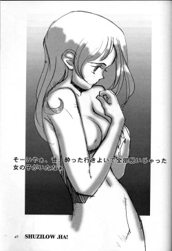 Page 46 of Chousen Ame Ver,10.0