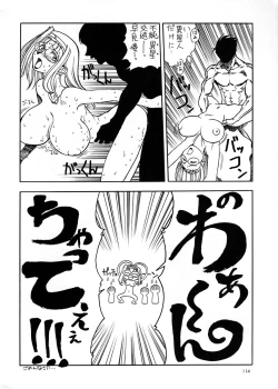 Page 113 of Chousen Ame Ver.17