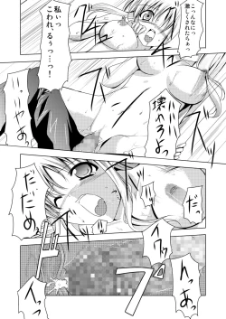 Page 22 of InSulT II