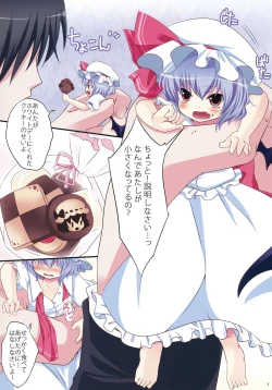 Page 3 of Remilia Size