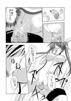 Page 13 of InSulT III