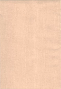 Page 19 of Dream to Issho!