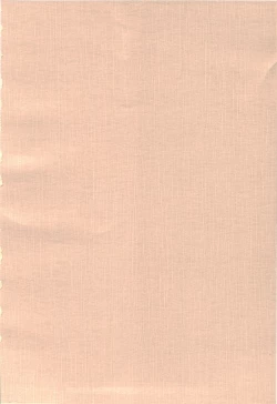 Page 2 of Dream to Issho!