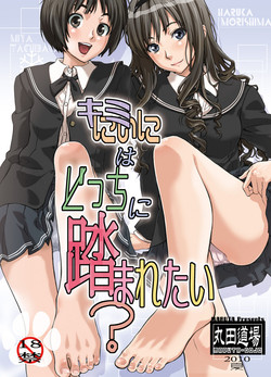 Download Kimi wa Docchi ni Fumaretai?