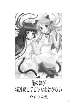 Page 3 of Ore no Imouto ga Nekomimi Hadaka Apron na Wake ga Nai