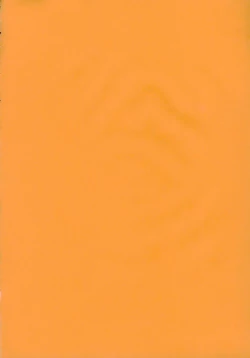 Page 3 of Tip Taps Spec 2