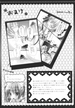 Page 17 of Imouto no Flandre ga Twin Tail ni shite Oniichan ni Anna koto ya Konna koto