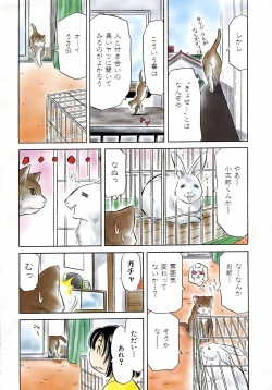 Page 379 of COMIC AUN 2006-05 Vol. 120