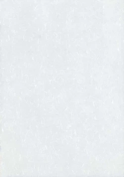 Page 2 of Ano Saiban