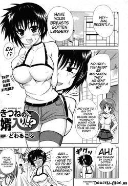 Download Fox Marrying In!?