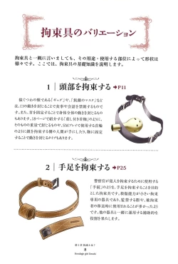 Page 12 of Kousoku Shoujo Emaki