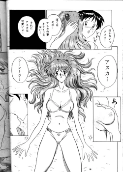 Page 27 of EVA 01 Test