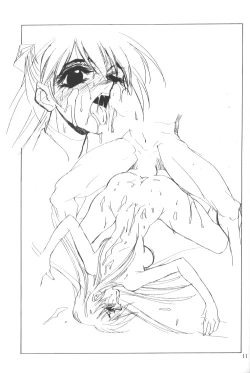 Page 10 of Eva-Plus C