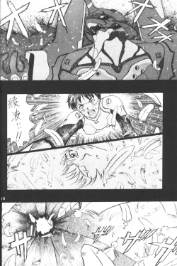 Page 17 of Eva-Plus C