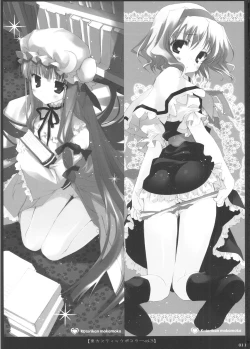 Page 10 of Touhou Kotori Emaki