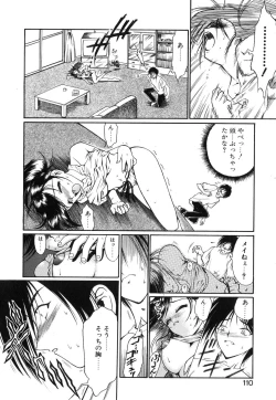 Page 111 of Second Diary