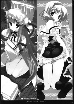 Page 10 of Touhou Kotori Emaki