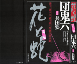 Download Hana to Hebi 2