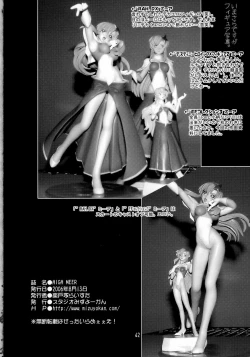 Page 41 of HIGH MEER