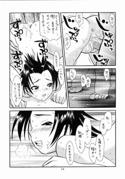 Page 14 of Hinnyuu Musume Vol. 8