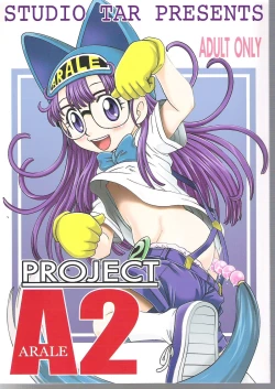 Page 1 of Project Arale 2