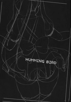Page 3 of HUMMING BIRD