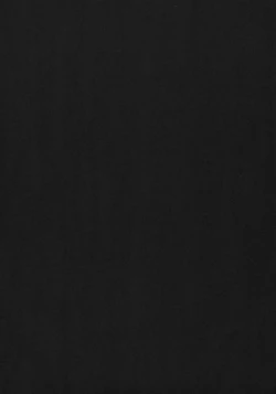 Page 4 of HUMMING BIRD