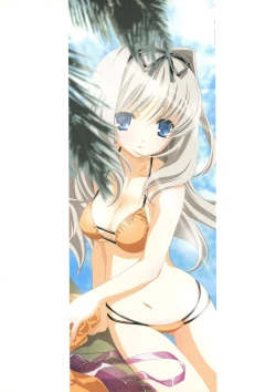 Page 51 of RAISONNE IV