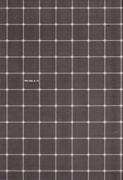 Page 2 of Floral Talk