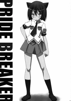 Page 2 of PRIDE BREAKER